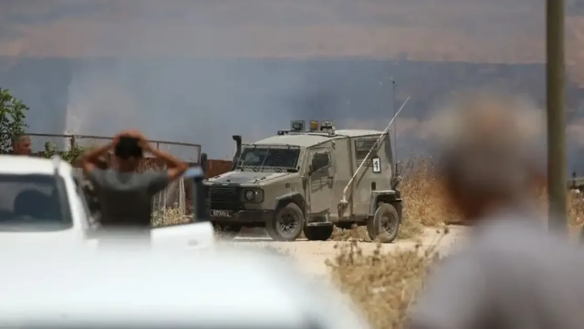 Batı Şeria'da Filistinlilere ait araziler ve koyun sürüsü
