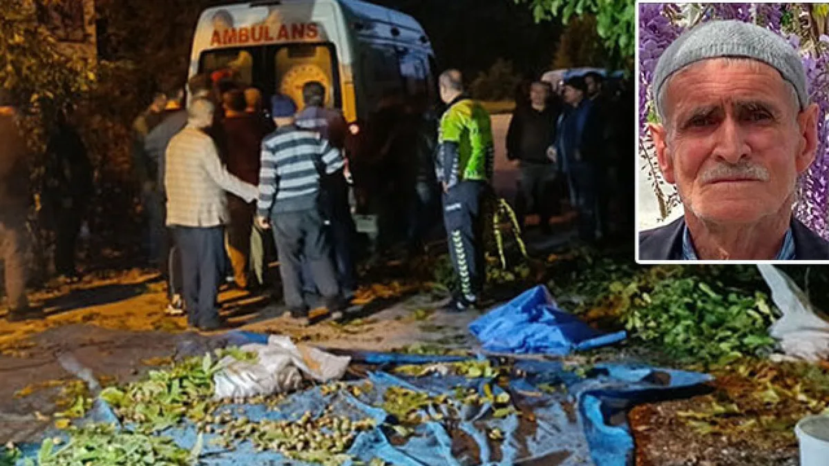 Burdur Ağlasun'da ceviz ağacından düşme sonucu yaşanan ölümlü kaza