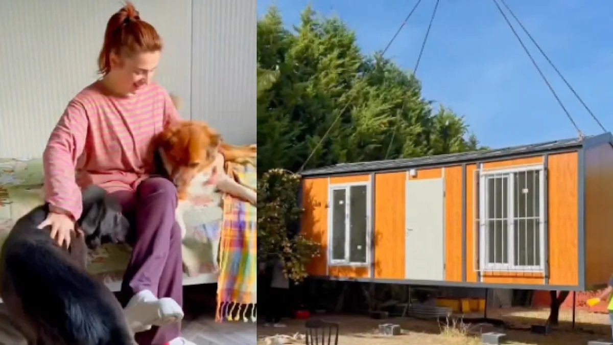Ceylan Ertem köpekleri için konteyner ev yaptırdı