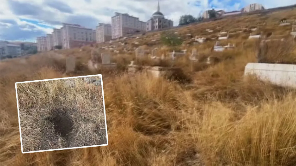 Kars'ta yeni doğan bebeğin ölümü cinayet çıktı