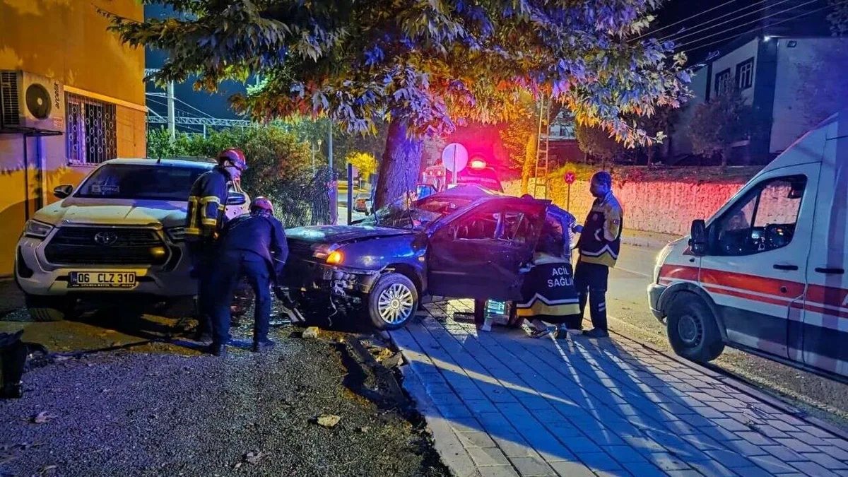 Pozantı'da otomobil ağaca çarptı: 1 ölü, 1 ağır yaralı