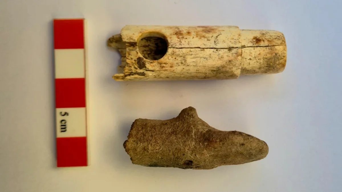 Troya kazılarında bulunan kemik flüt ve idol başı